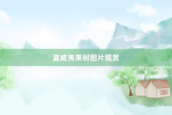 夏威夷果树图片观赏